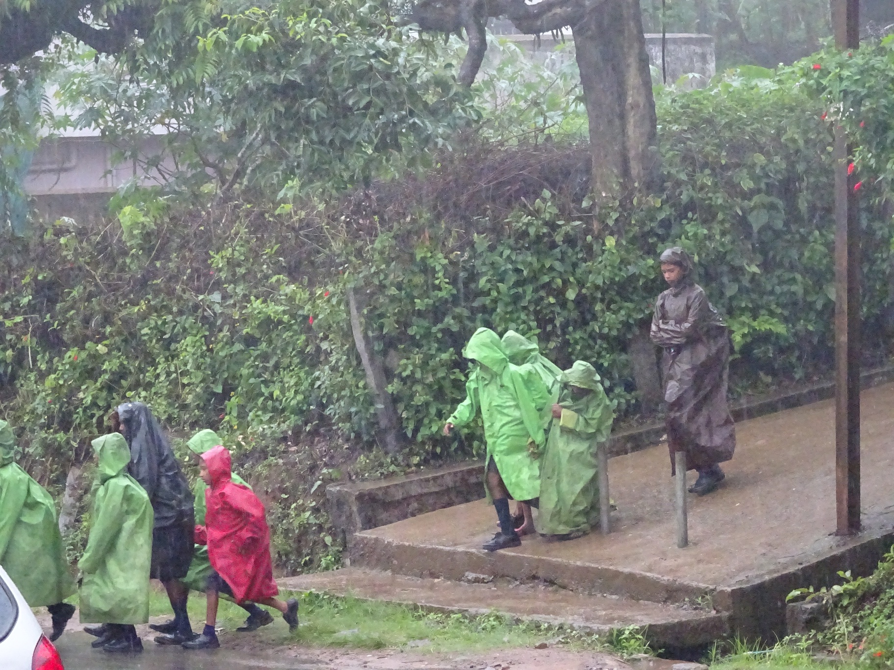 ಕೊಡಗಿನಲ್ಲಿ ಮುಂಗಾರು ಮಳೆಯ ವೈಭವ: ಜನರಲ್ಲಿ ಸಂತಸ